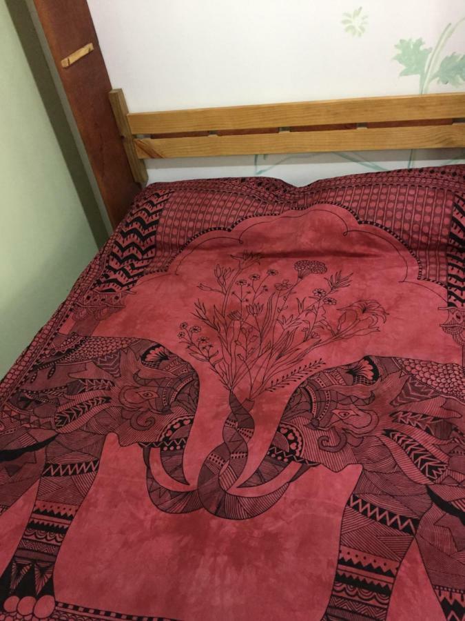 Hostel Mueller Na Praia De Mocambique Florianópolis 外观 照片